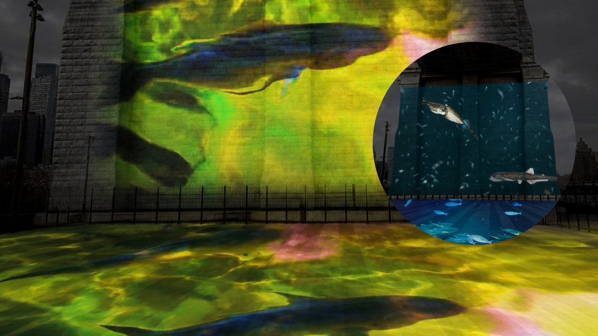 Hudson Canyon sea life lights up a Brooklyn Bridge pylon Friday night, free