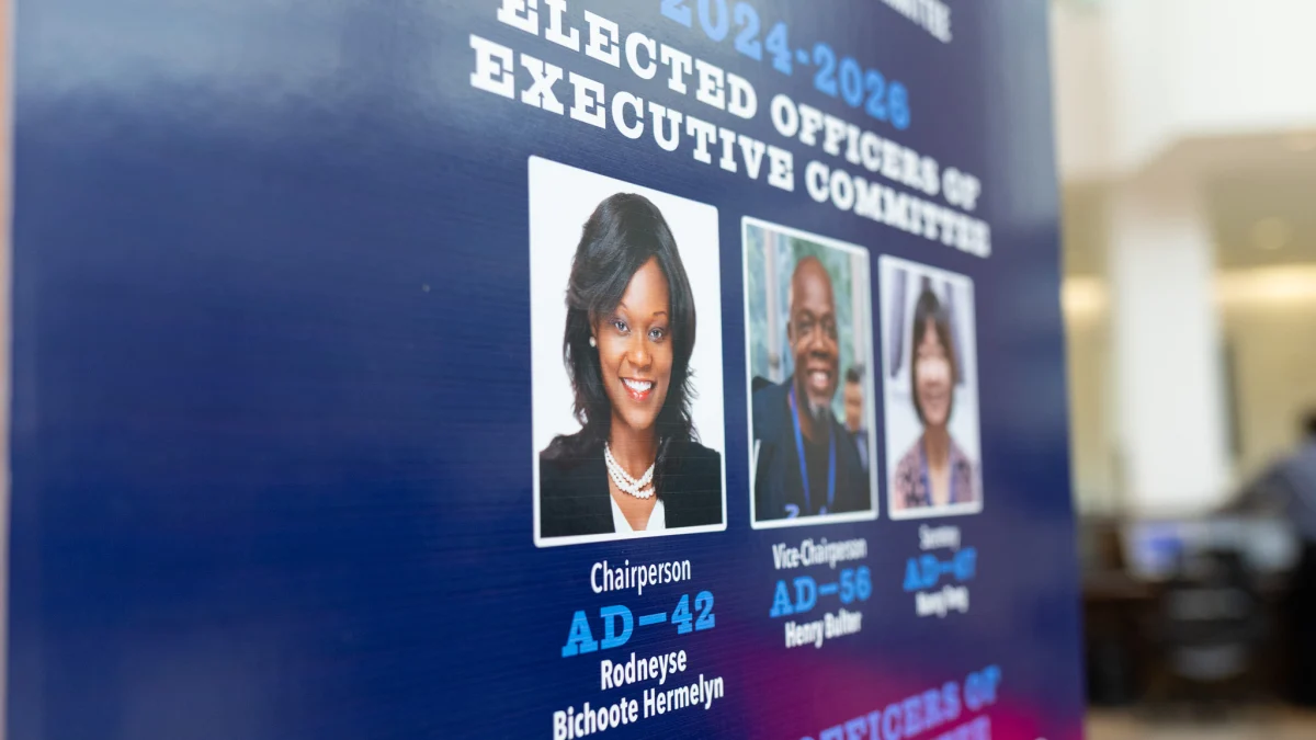 Judge halts Brooklyn Democrats’ chair vote hours after appeals court voids rule changes