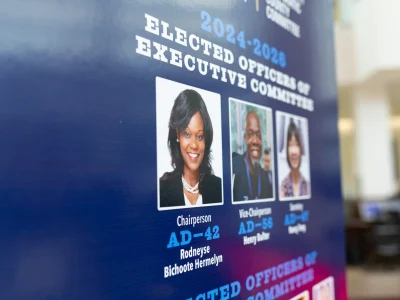 Judge halts Brooklyn Democrats’ chair vote hours after appeals court voids rule changes