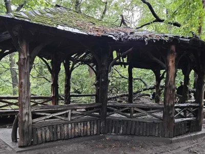 ‘Lee against the world’: Ramble regulars mourn woman killed in Central Park