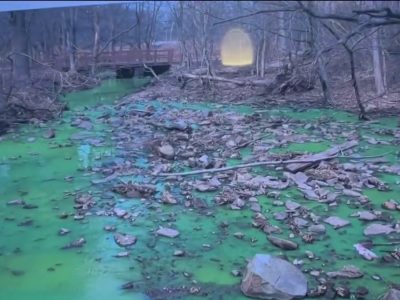 Clove Lakes Park waters close to boats and fishing as officials seek a sewage probe