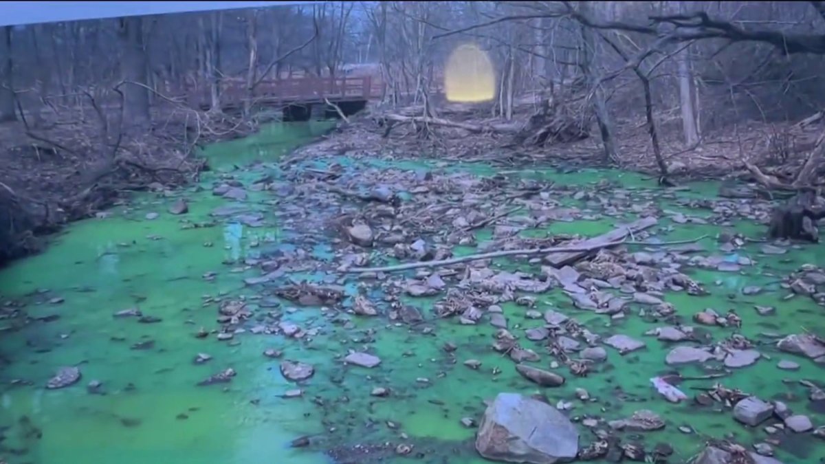 Clove Lakes Park waters close to boats and fishing as officials seek a sewage probe