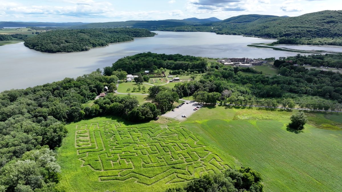 Fort Ticonderoga’s corn maze sends visitors on 1775 scouting missions through Oct. 25