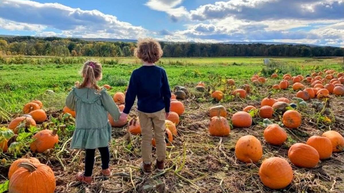 Kelder’s Farm: Hudson Valley pumpkin picking two hours from NYC ranks No. 3 in the US