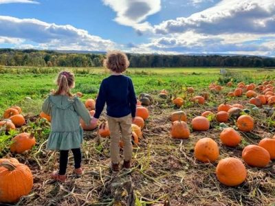 Kelder’s Farm: Hudson Valley pumpkin picking two hours from NYC ranks No. 3 in the US