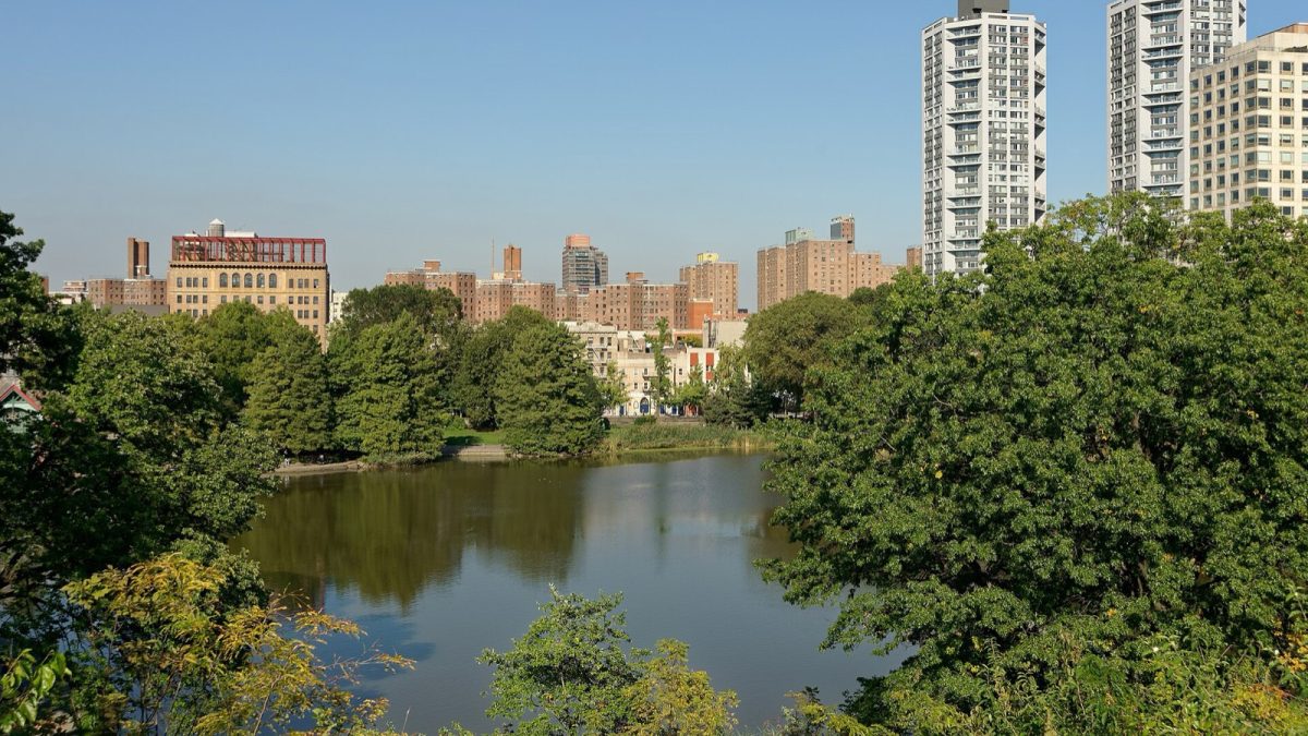 African American Day Parade 2026: Harlem route, times and street closures
