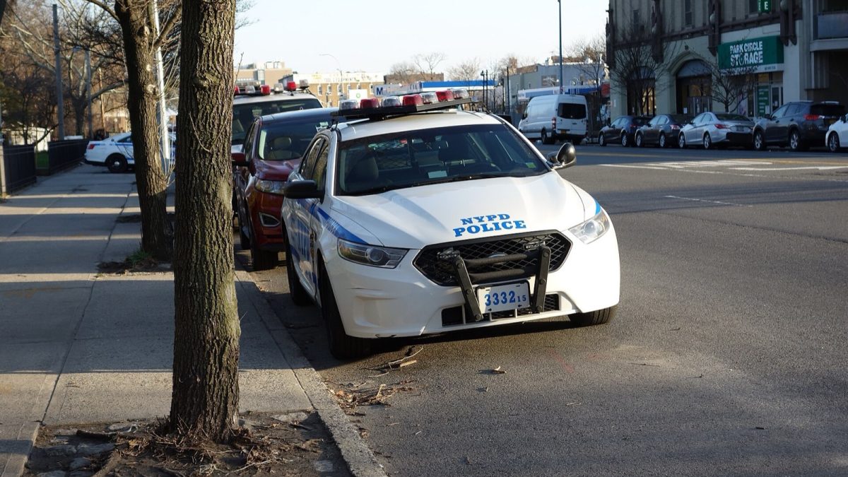 83 live chickens taken from a U-Haul left in Flatbush, volunteers say