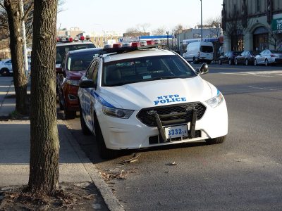 83 live chickens taken from a U-Haul left in Flatbush, volunteers say