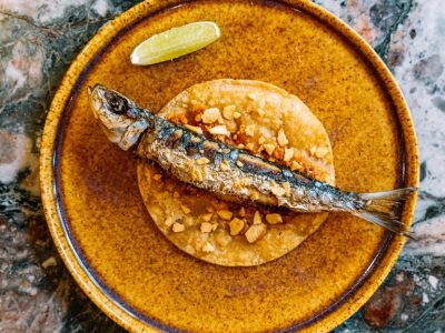 New NYC restaurants: a shrimp wine bar, Alleva Dairy’s return and a Southern buffet