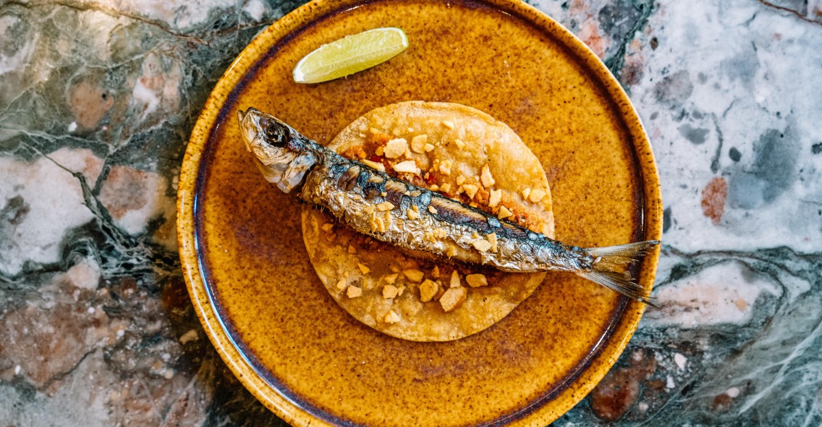 New NYC restaurants: a shrimp wine bar, Alleva Dairy’s return and a Southern buffet