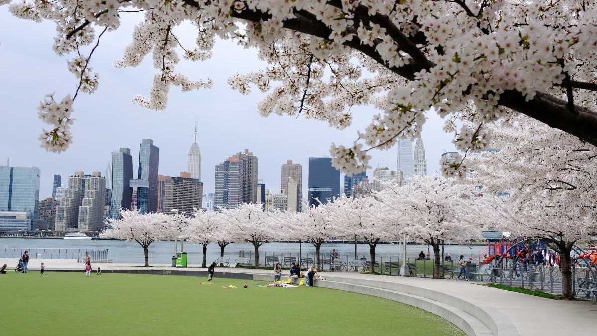Parks crews set a planting record since 2016 as 18,261 trees go into the ground, many in Queens