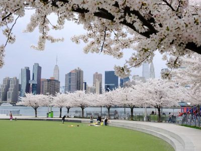 Parks crews set a planting record since 2016 as 18,261 trees go into the ground, many in Queens