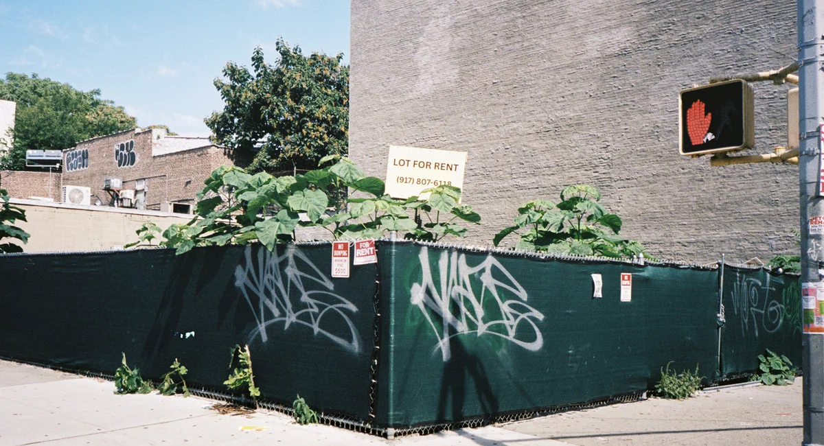 NYC plans $250 fines for trash-filled vacant lots and stalled building sites