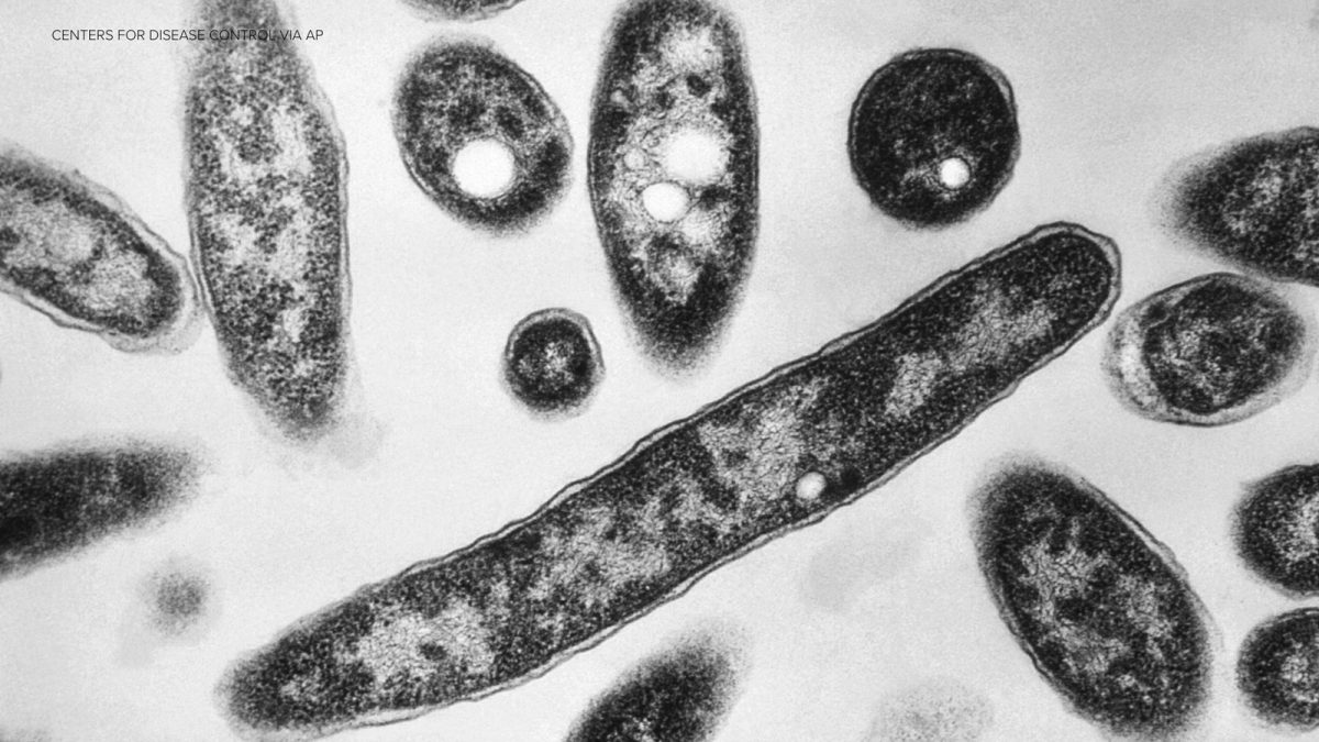Legionnaires’ outbreak in Melrose and Morrisania now tied to two deaths
