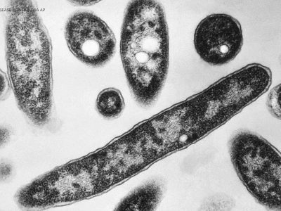 Legionnaires’ outbreak in Melrose and Morrisania now tied to two deaths