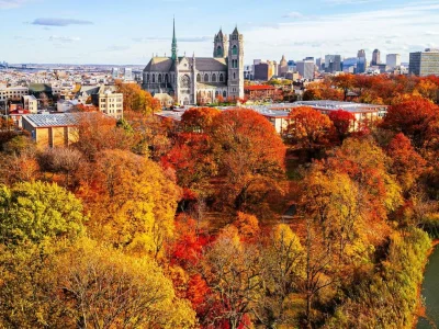 Branch Brook Park in Newark: fall foliage walks in an Olmsted-designed park