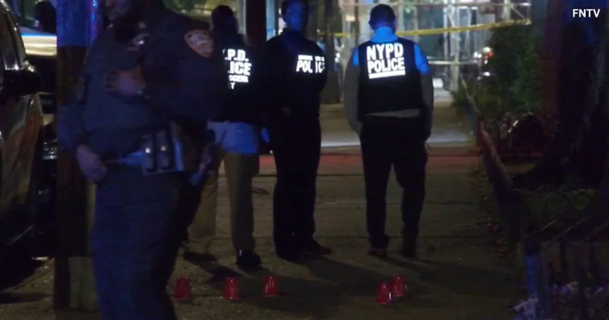Bronx gunfire at Pearly Gates Park wounds 12-year-old girl