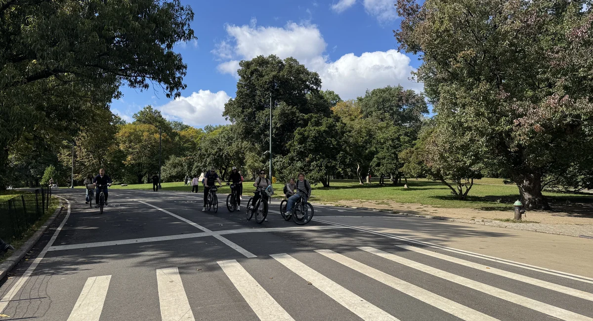 71-year-old rider killed in fall near the Met after dog crosses Central Park drive