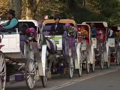 Romanch’s Law could end Central Park carriage rides in 2028