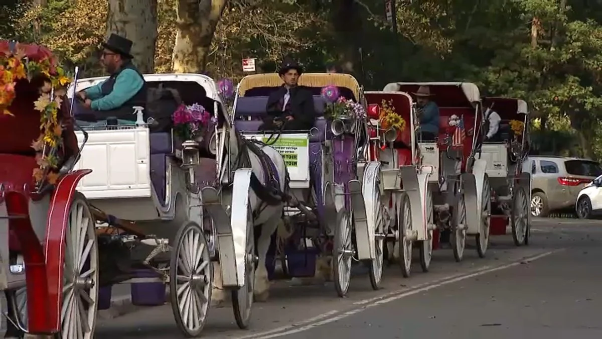 Romanch’s Law could end Central Park carriage rides in 2028