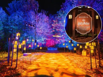 Harry Potter Forbidden Forest trail returns to Westchester’s FDR State Park