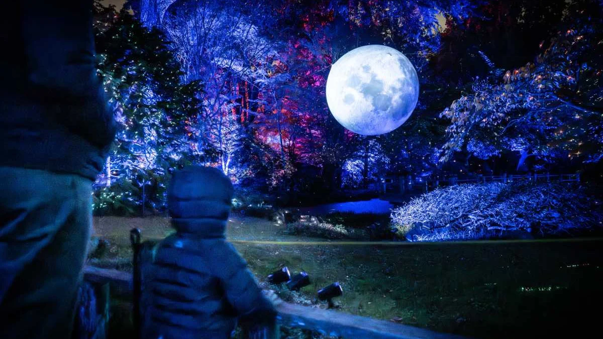 Lightscape 2026 at Brooklyn Botanic Garden: dates, new installations and ticket prices