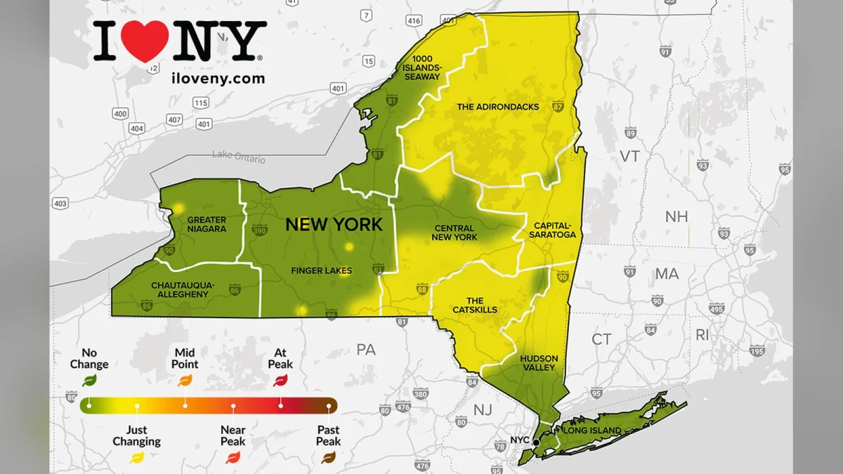 Leaf-peeping season starts: New York’s weekly foliage map is back