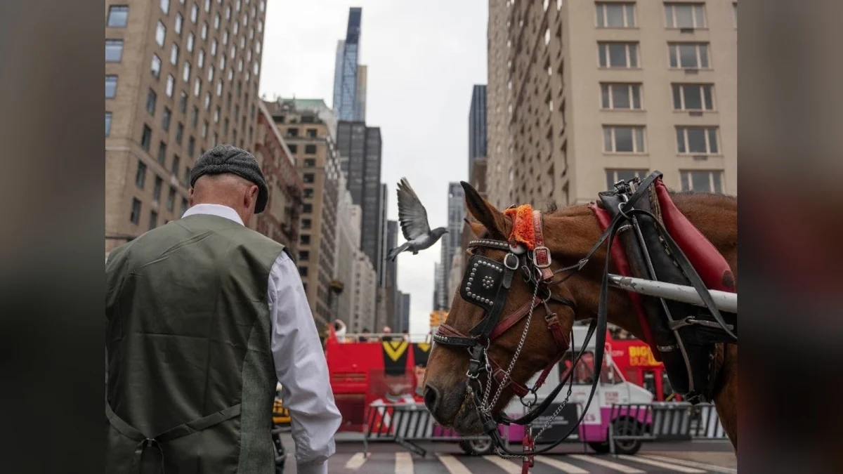 City Council passes Romanch’s Law, ending NYC horse carriage rides by June 2028