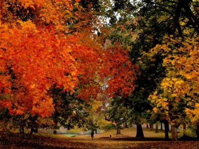 Paddle through Prospect Park’s fall color on a free ranger-led canoe trip Oct. 25