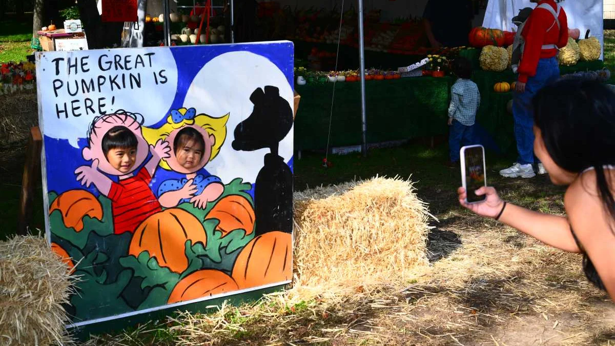 Queens County Farm pumpkin patch: hours, tractor tours and Halloween on the Farm