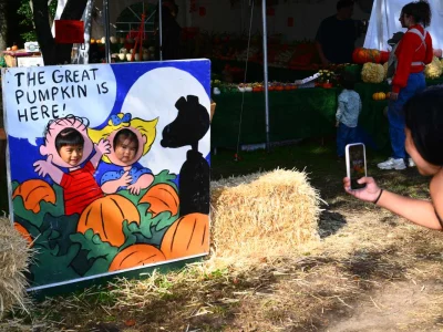 Queens County Farm pumpkin patch: hours, tractor tours and Halloween on the Farm