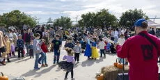 Brooklyn Bridge Park Harvest Festival